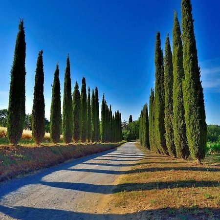 Agriturismo Boschetto Di Montiano Montiano  Luaran gambar