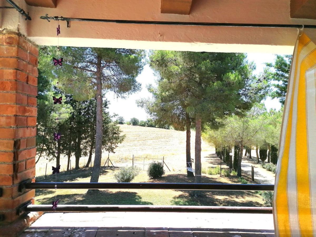 Agriturismo Boschetto Di Montiano Montiano  Luaran gambar