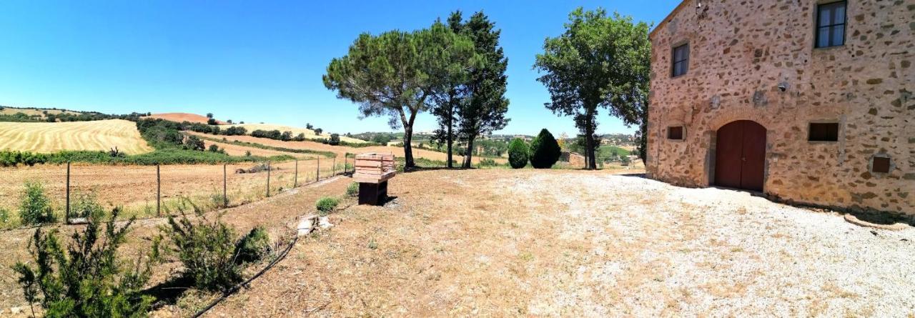 Agriturismo Boschetto Di Montiano Montiano  Luaran gambar
