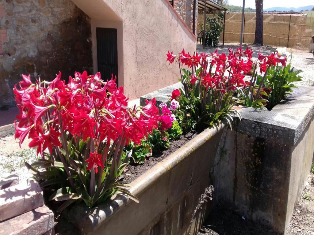 Agriturismo Boschetto Di Montiano Montiano  Luaran gambar