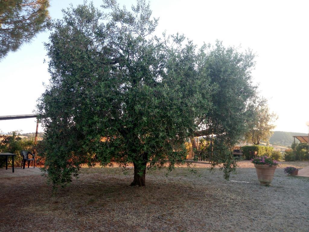 Agriturismo Boschetto Di Montiano Montiano  Luaran gambar