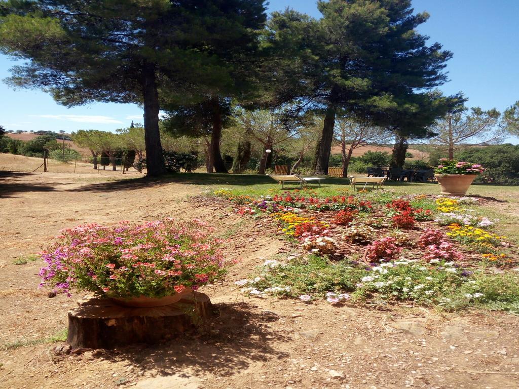 Agriturismo Boschetto Di Montiano Montiano  Luaran gambar