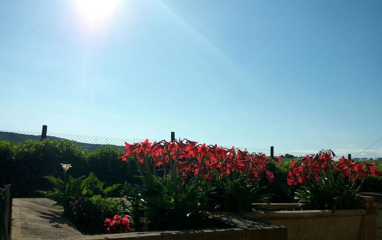 Agriturismo Boschetto Di Montiano Montiano  Luaran gambar